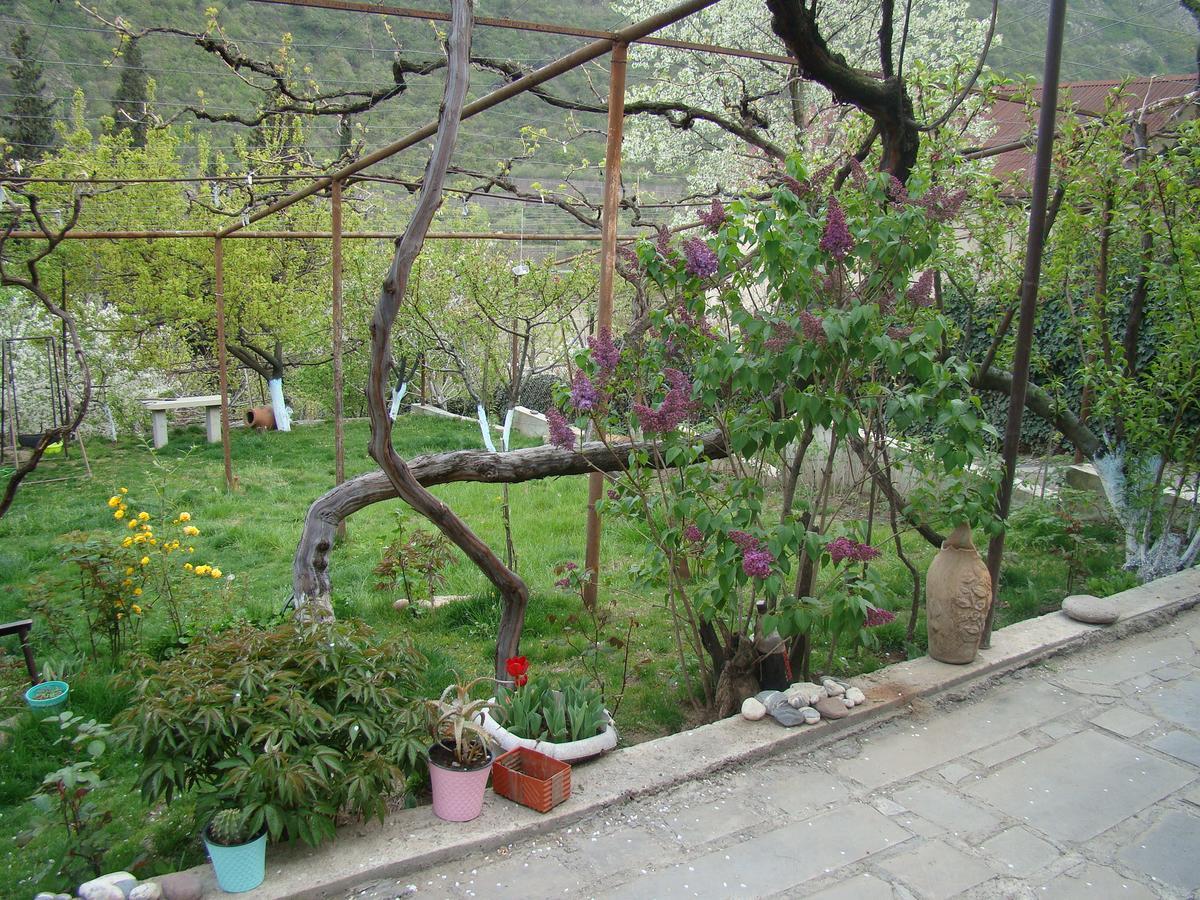 Guest House Ucha Mtskheta Luaran gambar