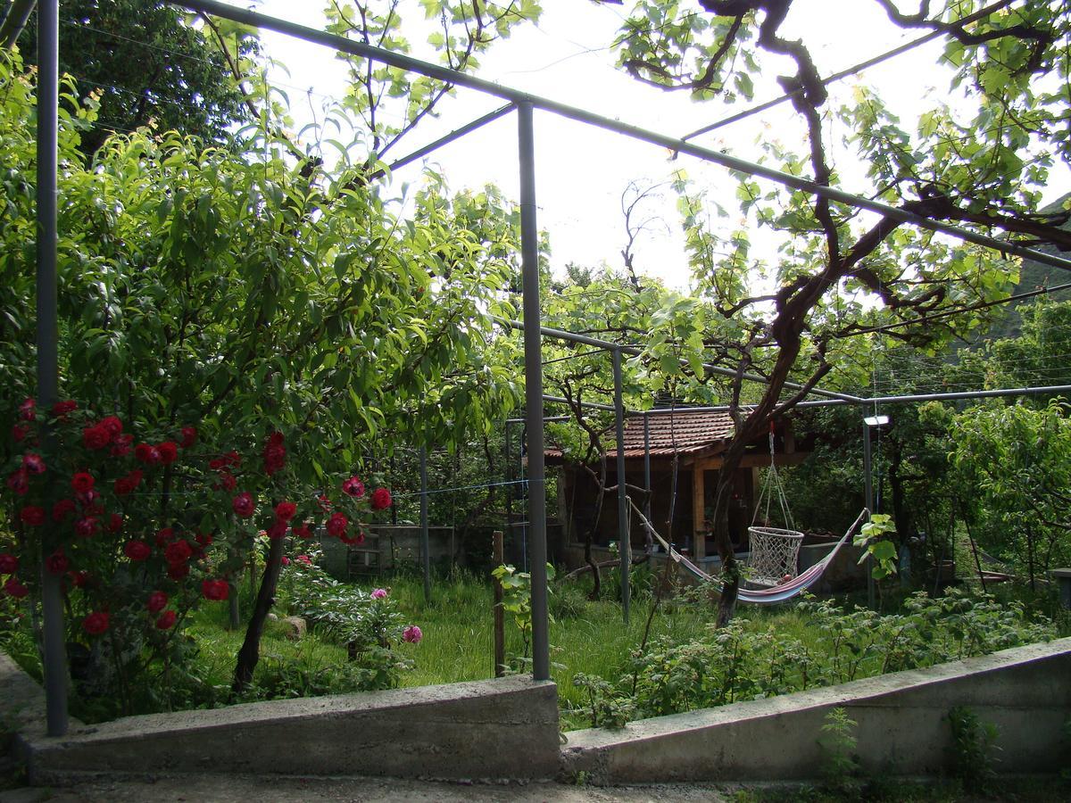 Guest House Ucha Mtskheta Luaran gambar