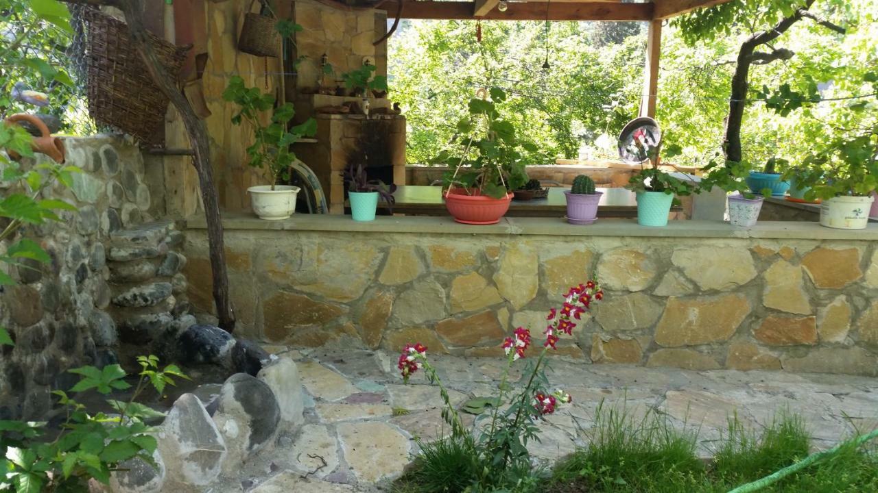 Guest House Ucha Mtskheta Luaran gambar