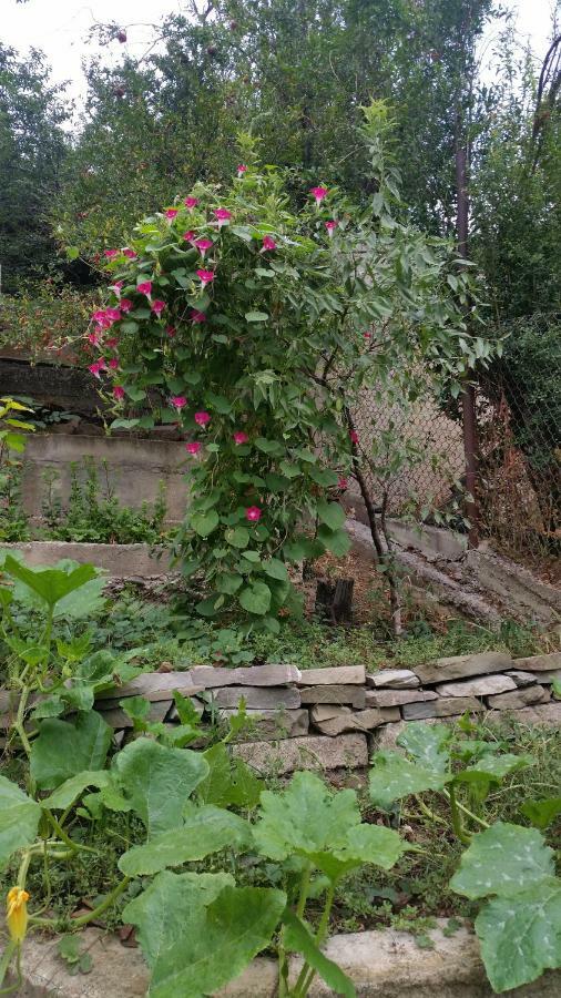 Guest House Ucha Mtskheta Luaran gambar